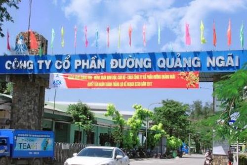 Phát điện trái phép suốt 4 năm, vi phạm 11 lỗi, Công ty cổ phần đường Quảng Ngãi bị phạt gần 750 triệu đồng