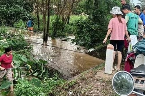 Mưa lũ cuốn trôi 32 tấn cá lóc của người dân