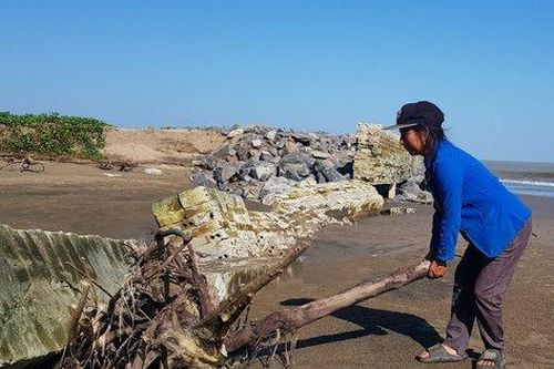 Thanh Hóa: Người dân lo lắng vì đất sản xuất, nuôi trồng thủy sản bị biển xâm thực mạnh