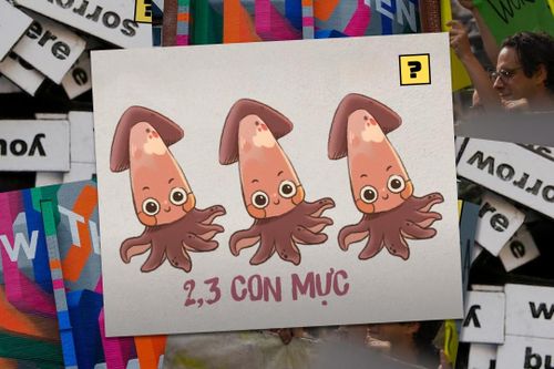 '2, 3 con mực' là gì