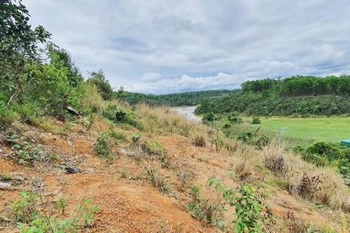 Đất rừng Tây Nguyên 'bay màu' - Bài 2: Dự án 'nuốt rừng'