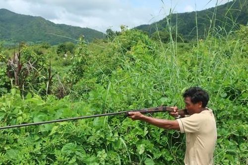 Khởi tố người đi săn thú bắn chết người bẫy gà