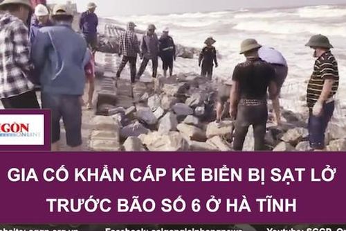 Gia cố khẩn cấp kè biển bị sạt lở trước bão số 6 ở Hà Tĩnh