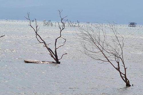 Khám phá 'tuyệt tình cốc' đẹp nao lòng ở xứ Huế thơ mộng
