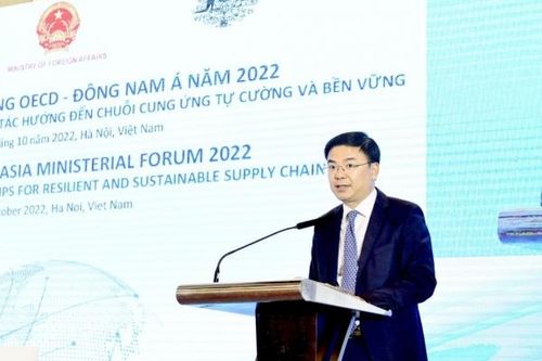 Diễn đàn cao cấp OECD - Đông Nam Á 2022 thành công tốt đẹp
