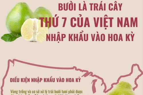 Bưởi là trái cây thứ 7 của Việt Nam nhập khẩu vào Hoa Kỳ