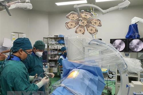 UNDP khởi động dự án mới hỗ trợ Việt Nam phòng, chống tham nhũng