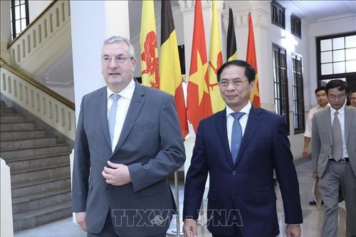Wallonie - Bruxelles đồng hành, hỗ trợ Việt Nam phát triển bền vững