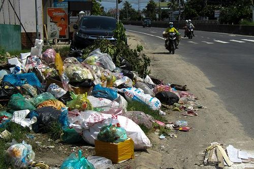 Bỏ rác bừa bãi bên đường