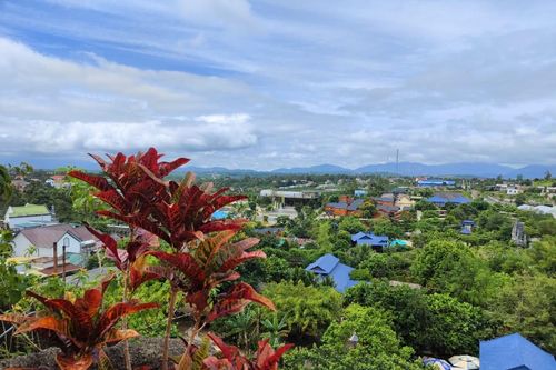 Mắc cỡ