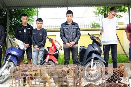 Bắt băng nhóm gây ra hàng loạt vụ trộm chó