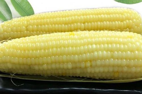 Ăn ngô buổi sáng tốt cho sức khỏe nhưng nếu có dấu hiệu này cần dừng ngay