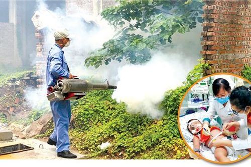 Nhiều bệnh nhân mắc sốt xuất huyết nặng, nhập viện muộn