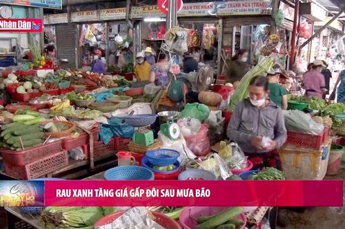 Rau xanh tăng giá gấp đôi sau mưa bão