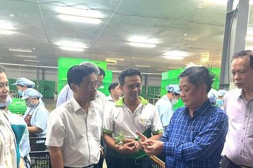 Đảm bảo chất lượng, an toàn thực phẩm: Bổ sung quy chuẩn, chế tài
