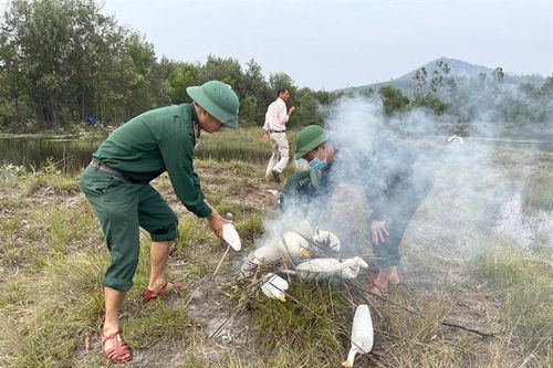 Tiêu hủy hơn 1.500 dụng cụ bẫy chim hoang dã