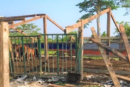 Nguyên Bí thư Tỉnh ủy Đắk Lắk tháo dỡ trang trại khỏi khu bảo tồn