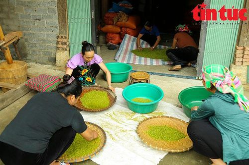 Hít hà hương cốm Tú Lệ - đặc sản của núi rừng Tây Bắc