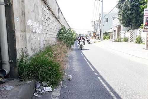 Cần phát quang cây cỏ dại