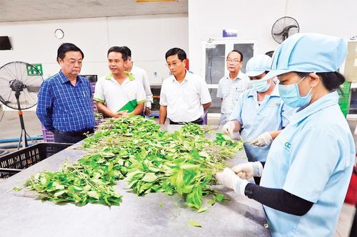 Bảo đảm an toàn thực phẩm cho cộng đồng