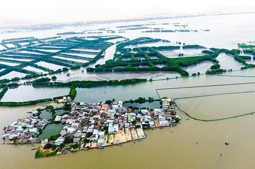 Say đắm 'ốc đảo xanh' Cồn Chim