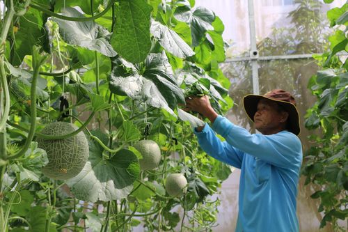 Bạc Liêu tăng tốc phát triển kinh tế những tháng cuối năm