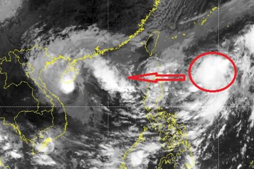 Sau bão Nesat, biển Đông có khả năng đón tiếp một cơn bão vào cuối tuần sau