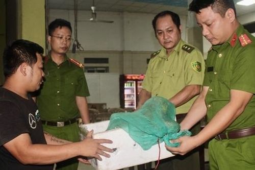 Bàn giao những 'hành khách' lạ cho Vườn Quốc gia Pù Mát