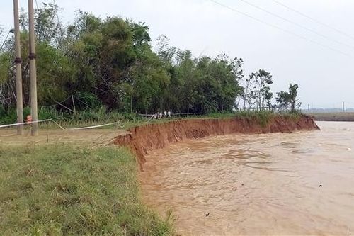 Khẩn trương khắc phục tình trạng 'hà bá' ngoạm bờ sông Quảng Huế