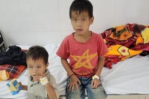 3 cha con nhập viện vì ngộ độc trứng cóc