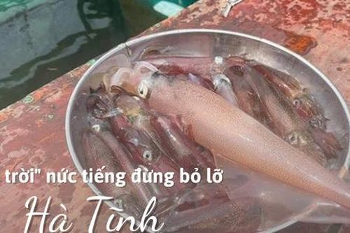 Hà Tĩnh có món đặc sản bật nhảy tanh tách trong miệng, có gì lạ mà ai đến cũng phải ăn thử