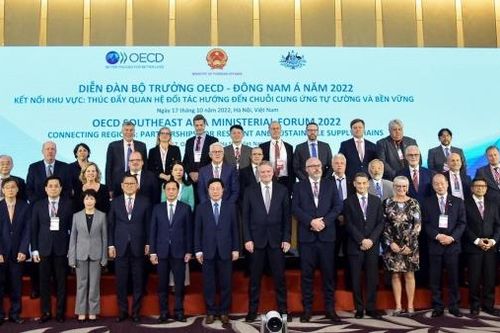 Diễn đàn kinh tế cao cấp Việt Nam-OECD năm 2022: Vì mục tiêu phát triển bền vững