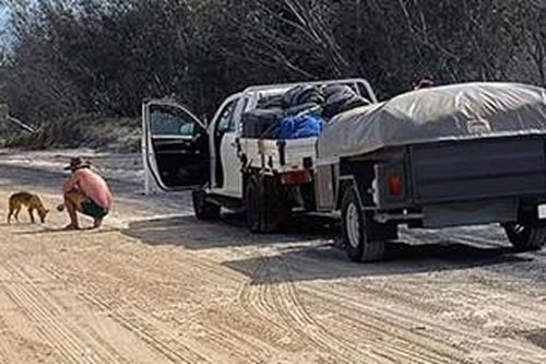 Du khách bị phạt hơn 56 triệu vì cho chó hoang trên đảo ăn bánh quy