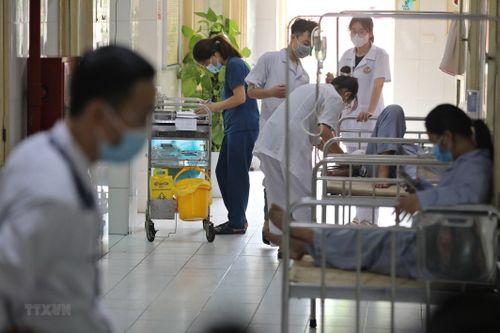 Gia tăng bệnh nhân sốt xuất huyết, đề phòng nguy cơ dịch chồng dịch