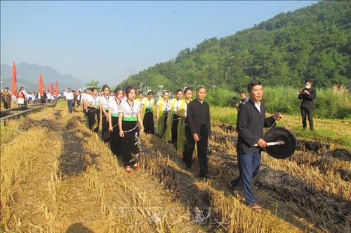 Đặc sắc Lễ hội Kin lẩu khẩu mẩu (lễ hội Cốm mới) của đồng bào dân tộc Thái ở Lai Châu