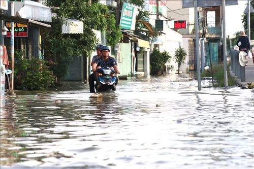 Worldatlas.com: TP Hồ Chí Minh trong danh sách có nguy cơ chìm một phần vào năm 2030