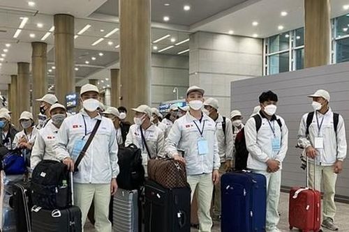 Khuyến cáo tìm hiểu kỹ trước khi đi lao động tại CHDC Congo