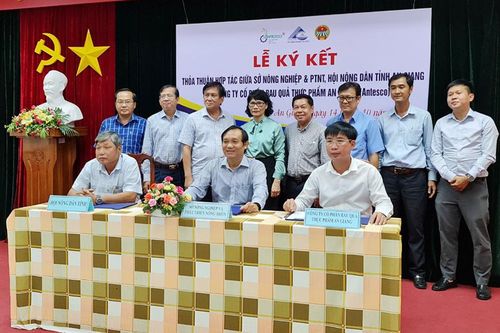 Liên kết nâng giá trị rau màu
