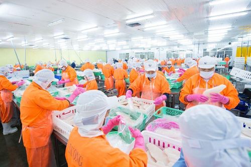 Nam Việt báo lãi khủng so với cùng kỳ 2021