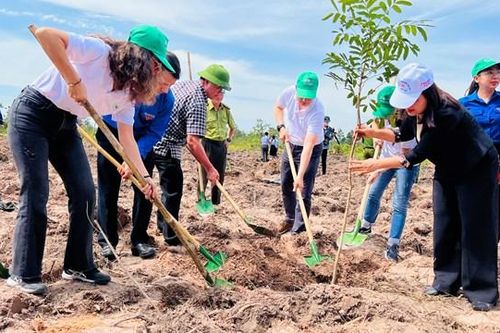 Trồng mới 77,55 ha rừng đầu nguồn tại 2 tỉnh Đắk Lắk, Đắk Nông
