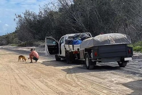 Bị phạt 34 triệu vì cho chó hoang ăn bánh quy