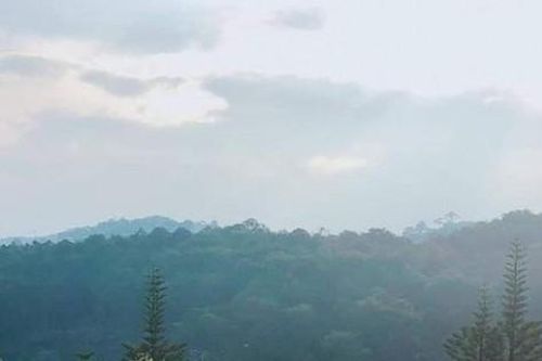 Chết vì nhiễm amip ăn não hiếm gặp sau khi bơi ở hồ