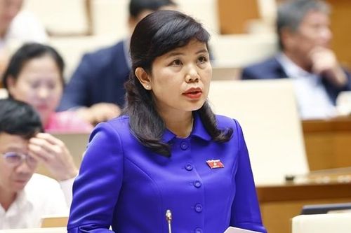 Cần làm rõ thế nào là kiểm tra của Nhân dân, giám sát của Nhân dân
