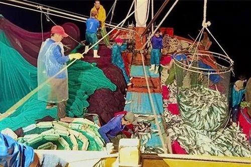 Giúp ngư dân vượt khó, yên tâm bám biển