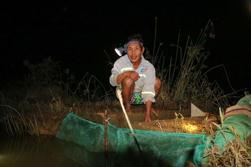Nông dân xuyên đêm săn 'rồng đất' ở Hà Tĩnh