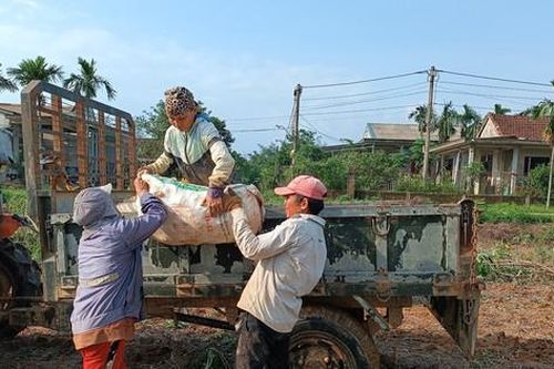 Người nông dân lao đao vì hàng trăm ha sắn có nguy cơ mất trắng sau mưa lũ