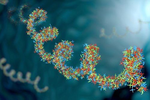 Phát hiện virus cổ đại trong mô khỏe mạnh của con người