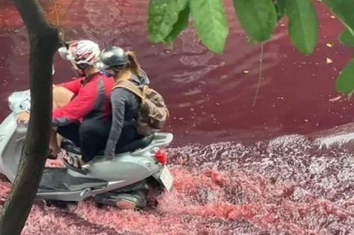 Dòng nước đỏ bất thường tràn ngập nhiều tuyến đường ở TPHCM