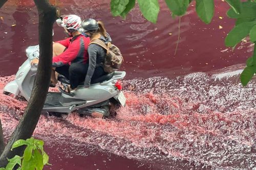 Một con đường tại quận Tân Phú ngập nước màu đỏ sẫm