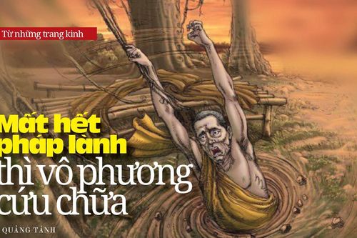 Mất hết pháp lành thì vô phương cứu chữa